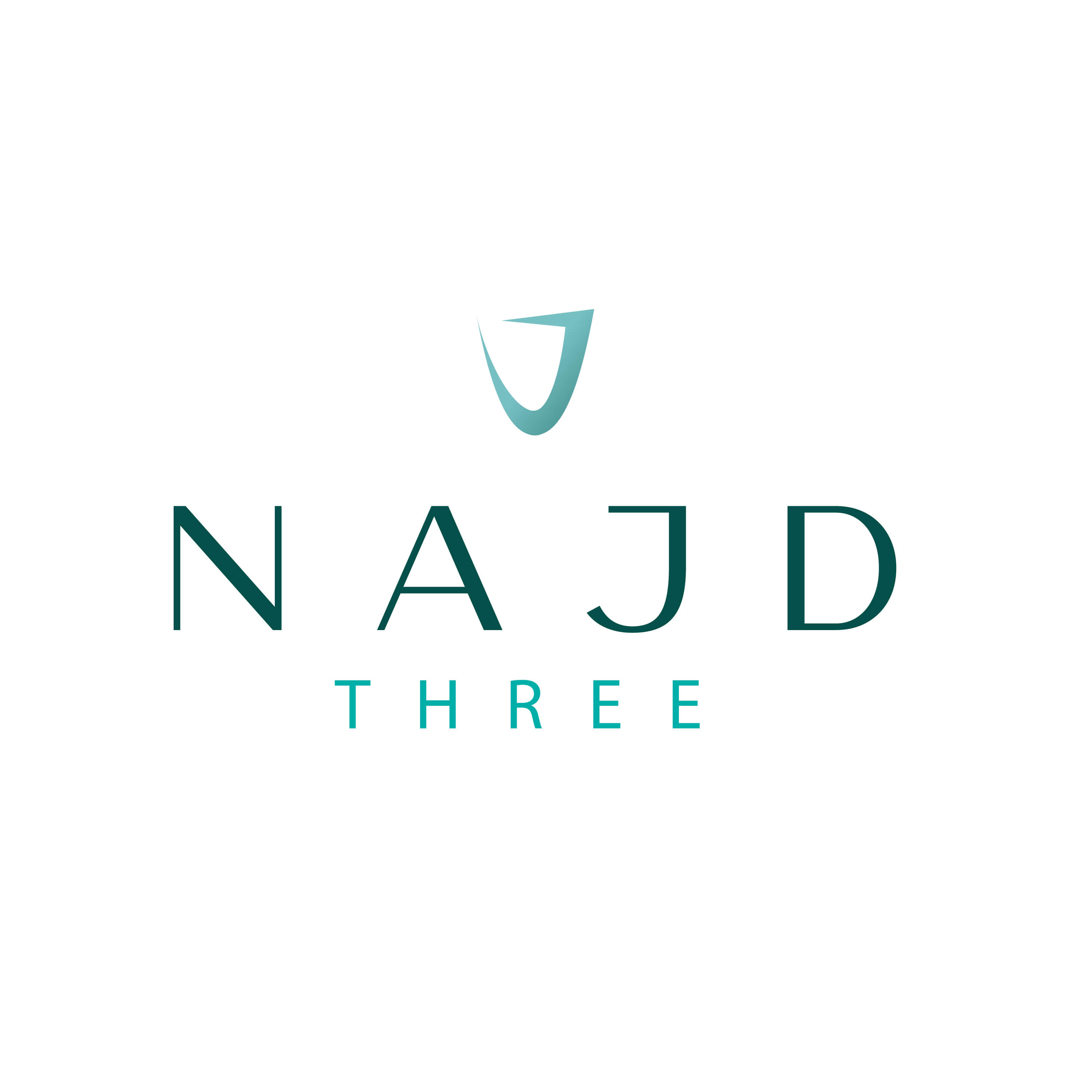 najd 3 logo.jpg