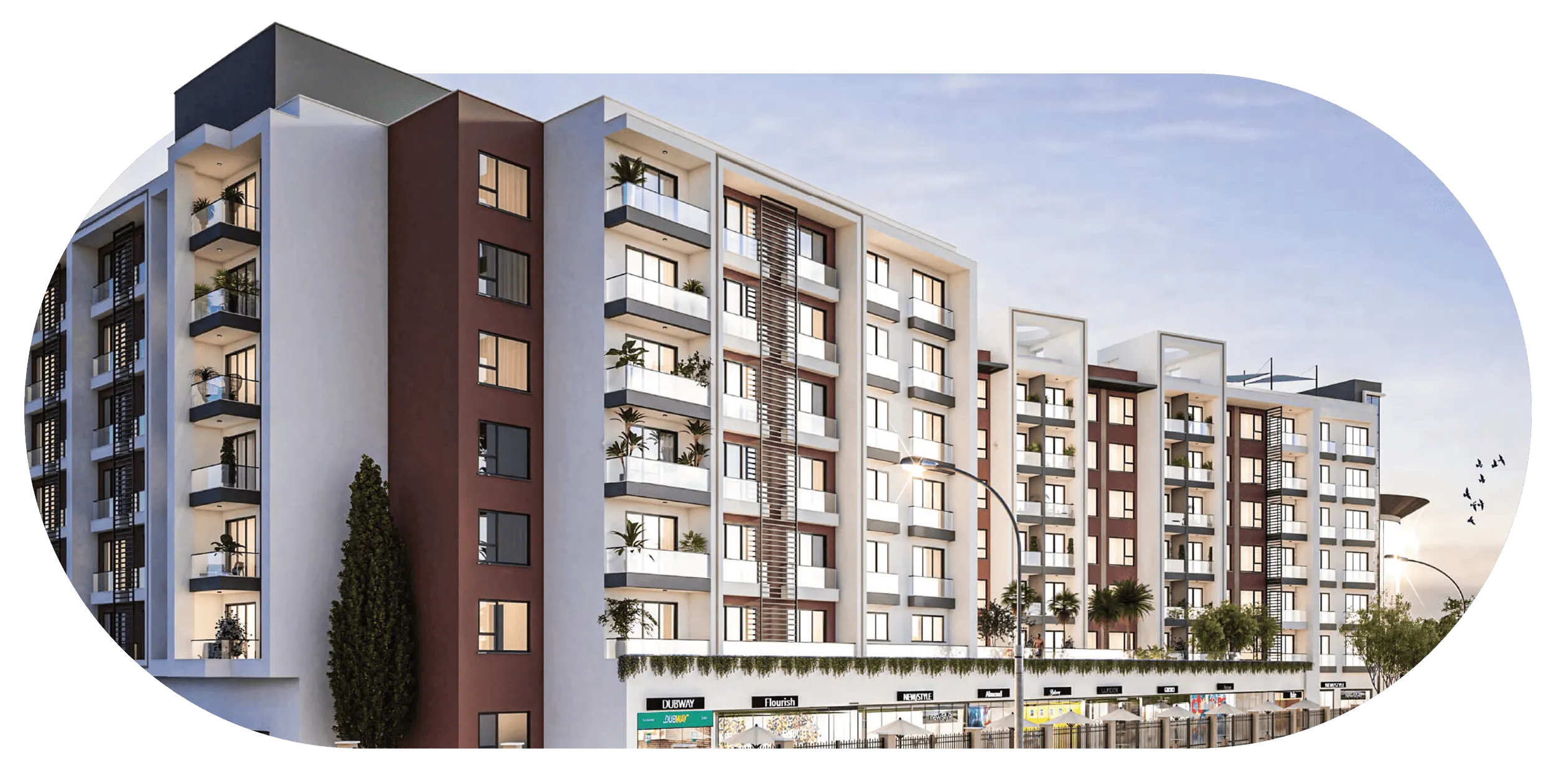 REPORTAGE_WEBSITE_HEADER_DG_JKIA (1)