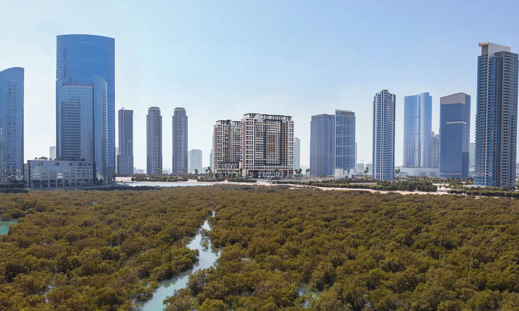 Mangroves and the Abu Dhabi skyline