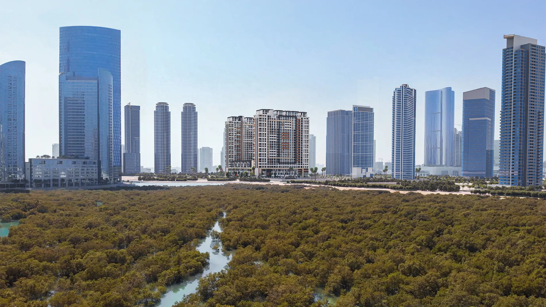 The District above the Al Reem mangroves