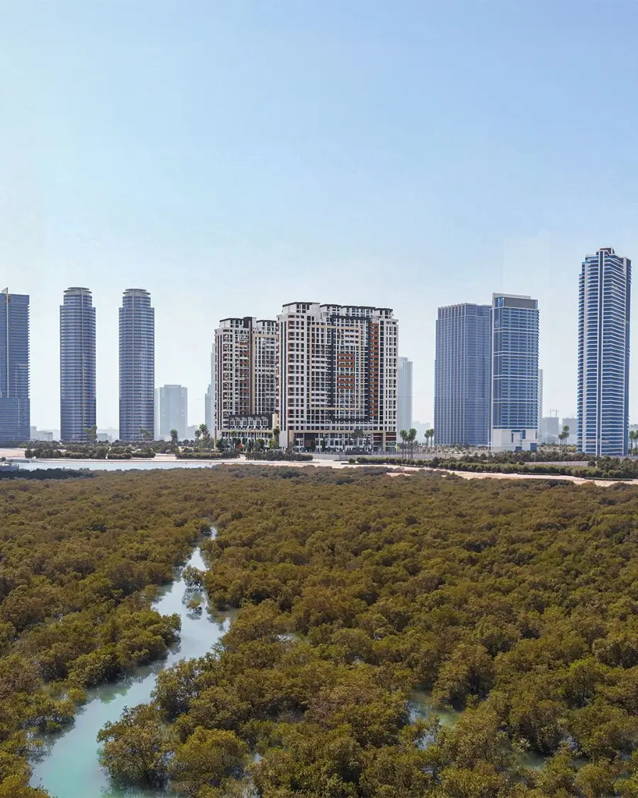 The District above the Al Reem mangroves